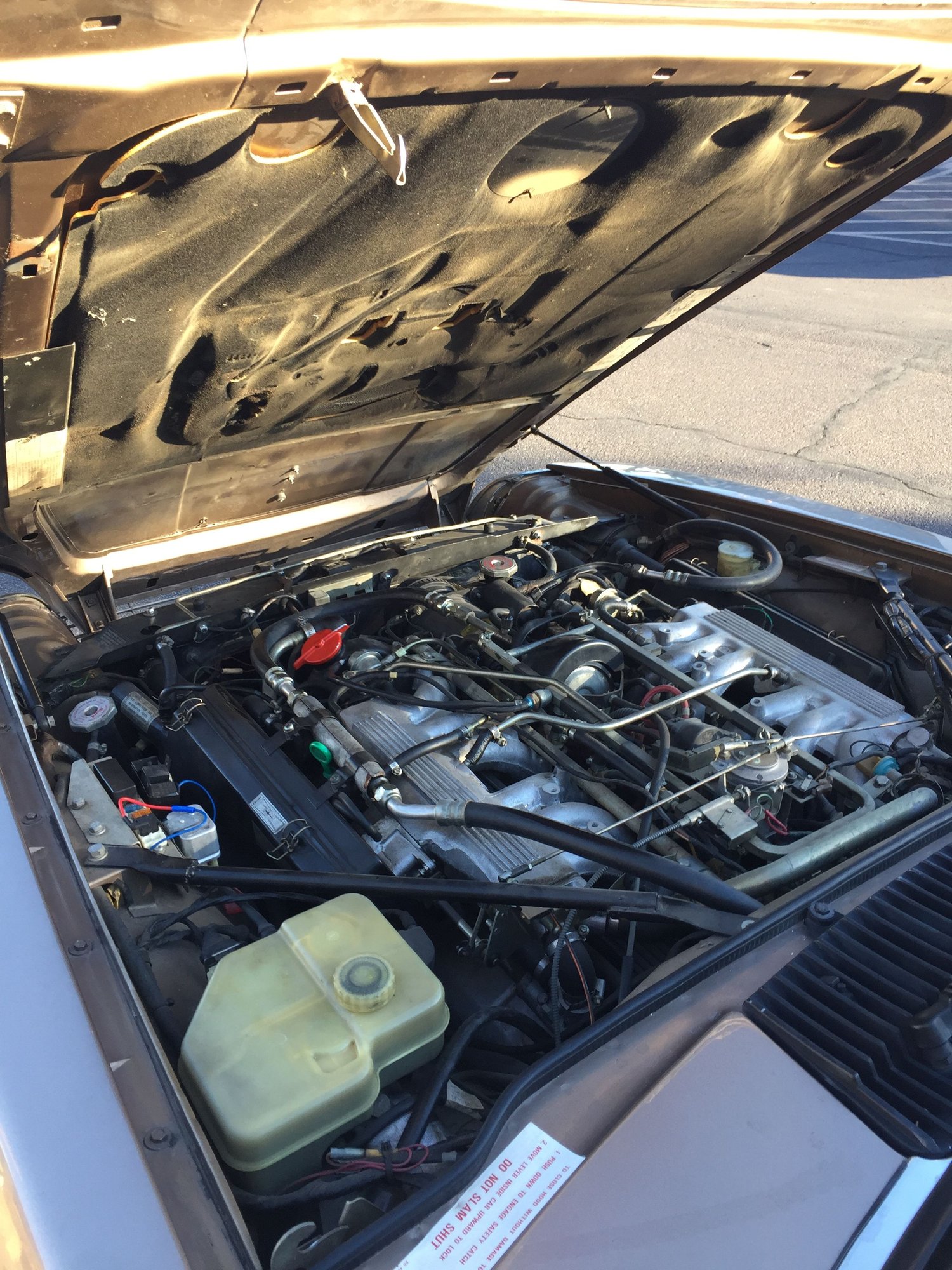 1989 Jaguar XJS - 1989 Jaguar XJ-S Convertible - Phoenix - Used - VIN SAJNV4842KC165248 - 12 cyl - 2WD - Automatic - Convertible - Phoenix, AZ 85012, United States