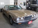 1984 VDP - all original - before