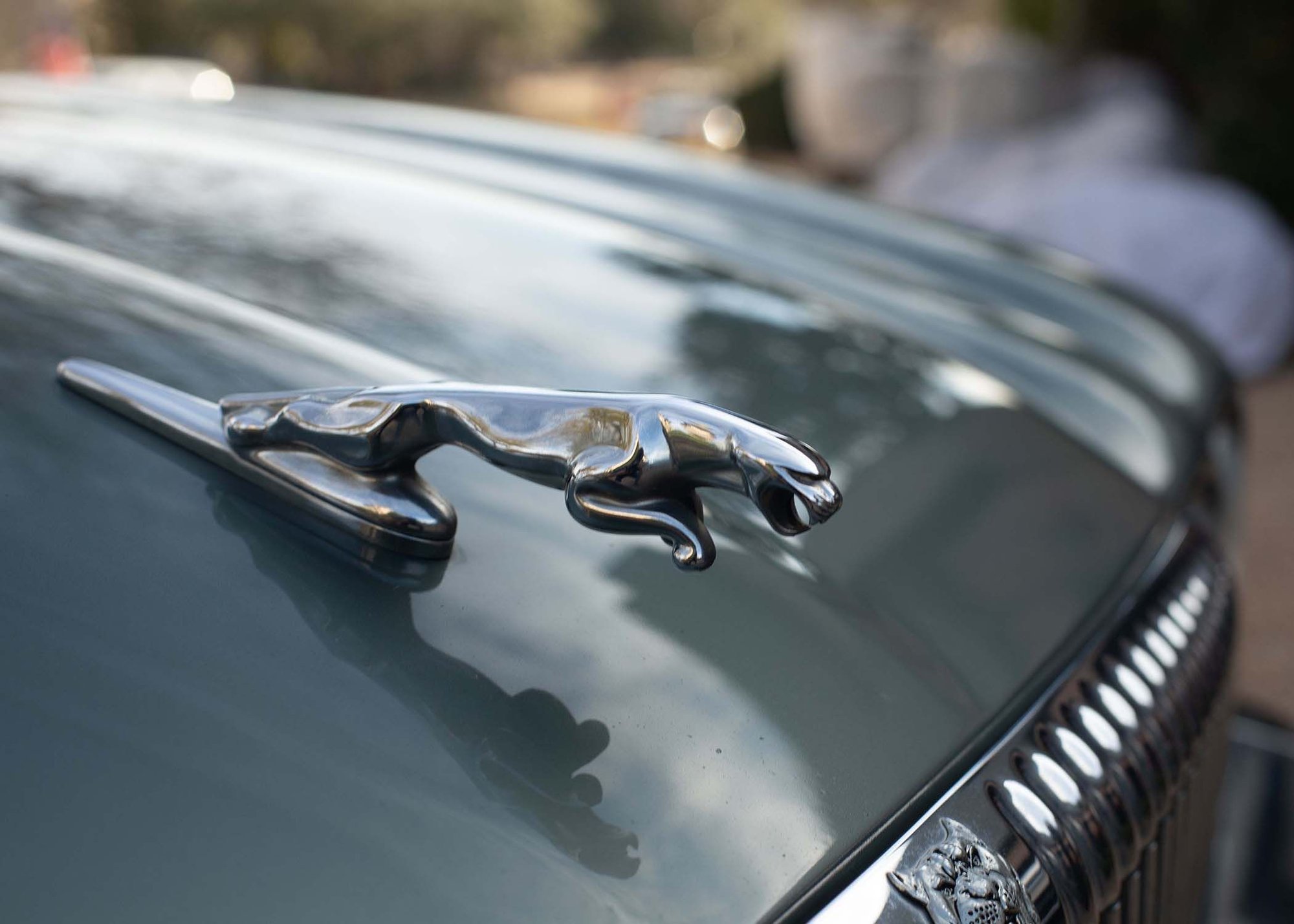 1996 Jaguar Vanden Plas - Has a Soul! 1996 Jaguar VP - Clean, AutoCheck=57, Beautiful color - Jade, - Used - VIN SAJKX6246TC784440 - 6 cyl - 2WD - Automatic - Sedan - Other - Garland, TX 75044, United States