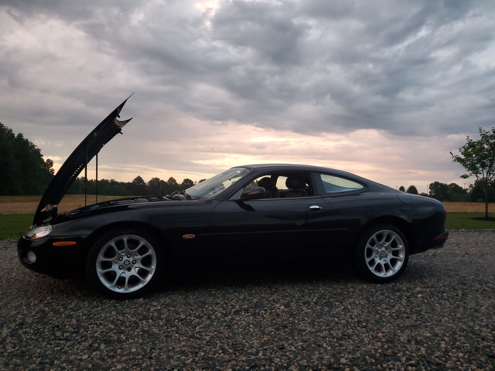 2002 Jaguar XKR - 2002 jaguar xkr 4.0 sc - Used - VIN SAJDA41B62PA24114 - 102,500 Miles - 8 cyl - 2WD - Automatic - Coupe - Black - Newark, DE 19711, United States