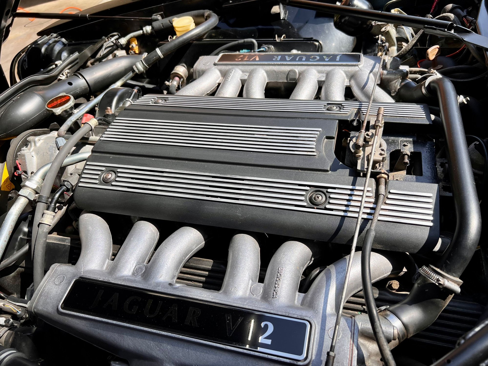 1994 Jaguar XJS - 1994 XJS -V12 coupe 11324 original miles - Used - VIN SAJNX5345RC190047 - 11,324 Miles - 12 cyl - 2WD - Automatic - Coupe - Black - Los Angeles, CA 91602, United States