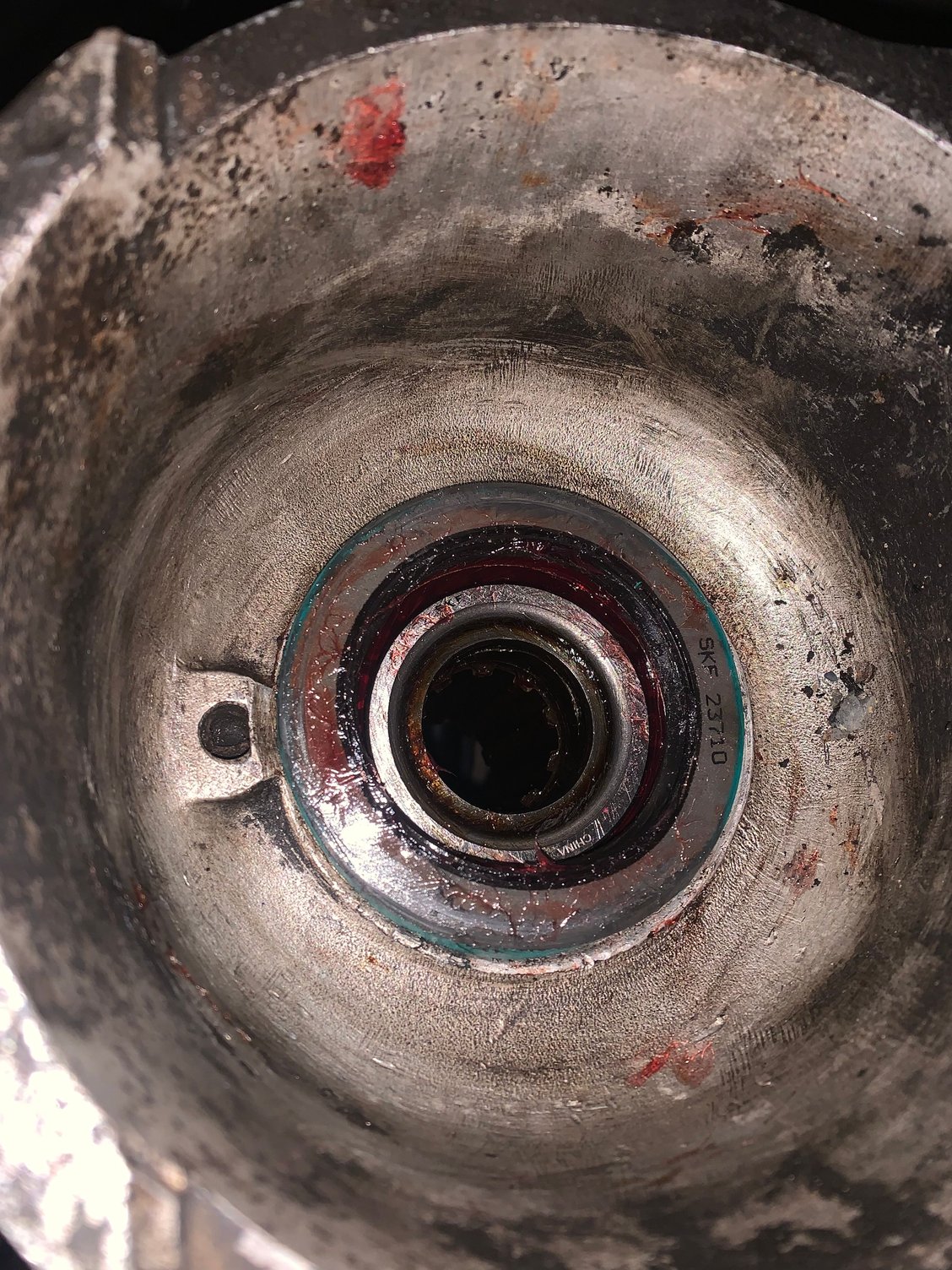 Oil seal for reference