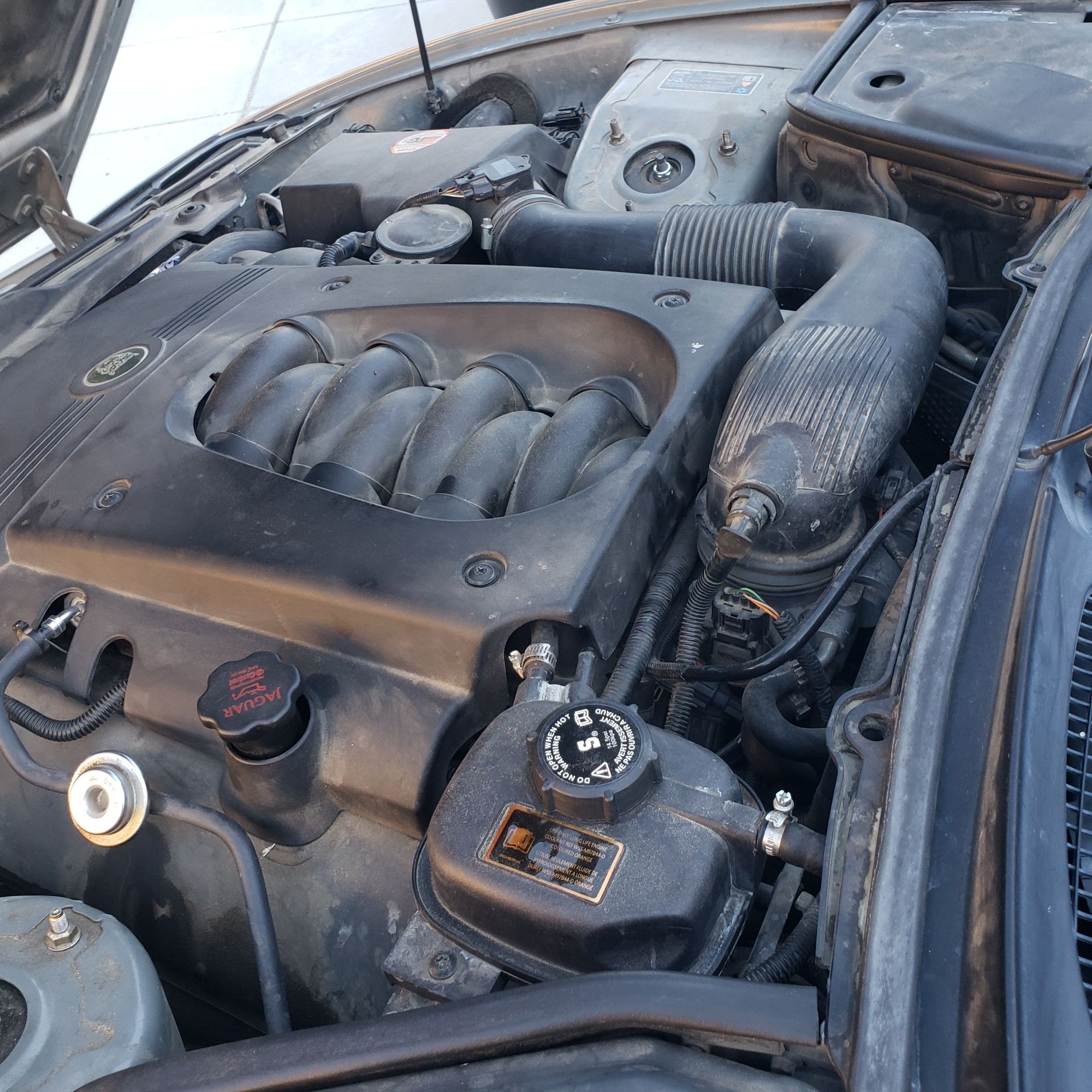 What is this part called. Circular Siver valve on fuel line in lower left corner?