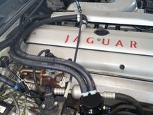 My version of the catch can