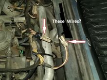 The wires with the arrows pointing at them, cause the car to not even want to start and if it does, the is rough as hell on a very low idle. Not to mention idle is so low that the alt doesn't even give enough juice, because the alt dash light stays own.