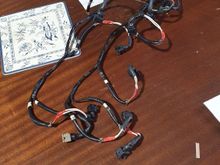 Harness on the brew table in the workshop