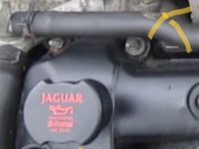 Can anyone tell me what these are please. Kind regards, saj 