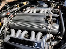 The Jaguar V12decal is perfect but hard to see due to the sun. 