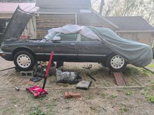 I removed trans and gave it to a friend. Im gonna remove engine too. Im gonna install engine and trans from wrecked xj8 into this car. Im in over my head but here we go.