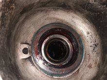Oil seal for reference