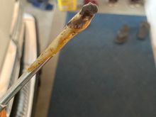 Substance in the PCV pipe that connects to the oil filler neck