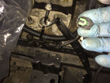 Where does this plug into?