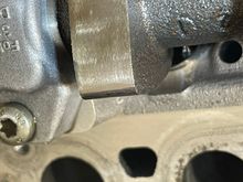 Please observe the spots on the tip of the lobe 