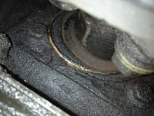 Is this some kind of differential seal? 