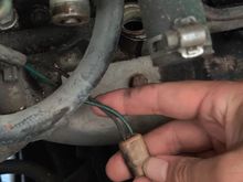 This is the plugin for the sensor. Leads into the main loom that goes in the manifold gully. 