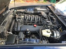 Engine bay - covers removed, but all present