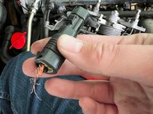 Bits of wiring from it 😳