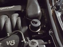 Check this hose.