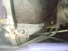 Oil leaks circled in red