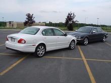 BEBE JAG &amp; THE GRIM LEAPER PURRING TOGETHER!