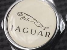 About 1" in diameter. Nice accents to the license plate frames.