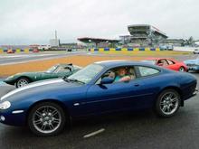 Kitty waiting for track laps