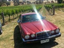 xj6 in the vines