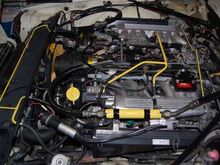 Just a shot of her getting dressed up