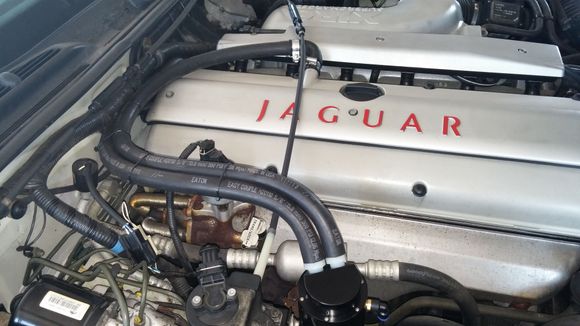 My version of the catch can