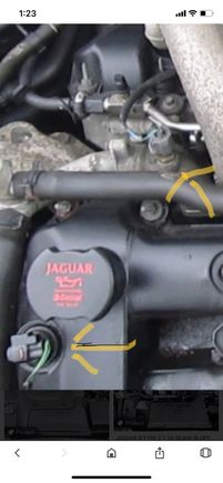 Can’t anyone tell me what these are please. Thanks. 