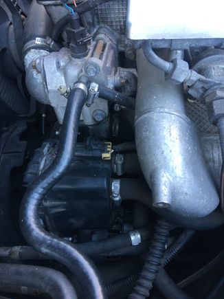 Thing under the thermostat housing.