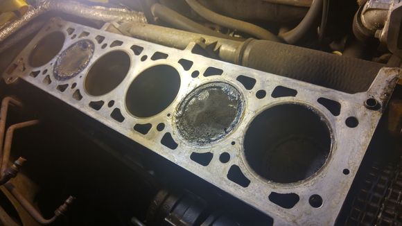 Cylinders 2 and 5 visible with the grease ring applied.