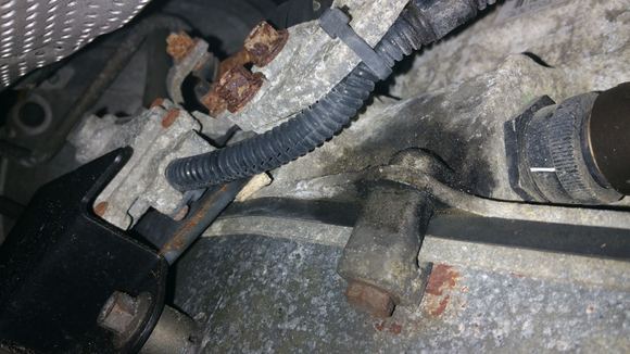 external wiring harness sealed plug going into the transmission? How does one disconnect this for cleaning and inspection/repair?
