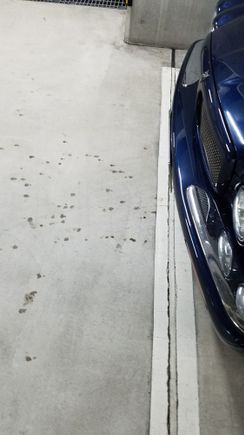 Small droplets appears all over the my garage floor.