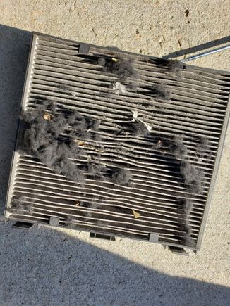 XE 35t cabin filter