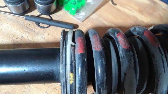Two packers plus white 'locator' gizmo under each spring.