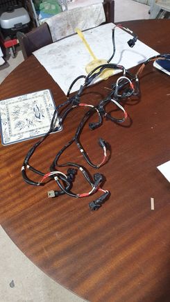 Harness on the brew table in the workshop