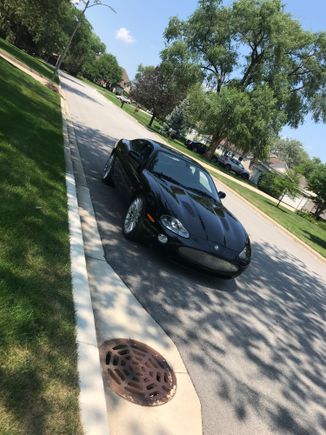 Cooling the cat :-) going in for front suspension work Weds:-))) I can’t wait for my first road trip 