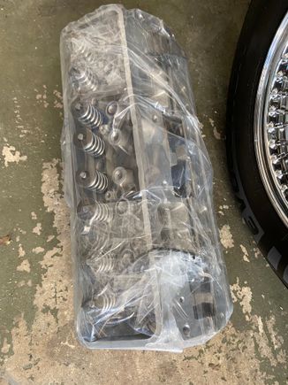 Head back from the porter