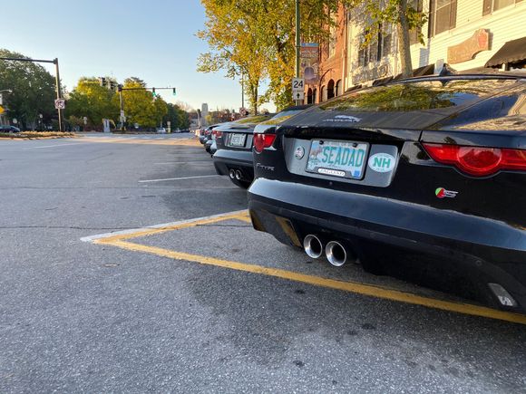 Morning lineup RAWR!