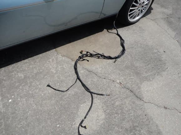 The wire Harness after removal from the engine bay before snaking into the right footwell.