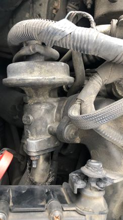 EGR valve