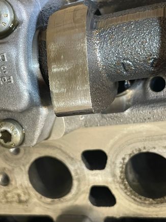 Please observe the spots on the tip of the lobe 