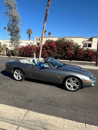 Not me in the photo, she's a 97-year-old friend enjoying her birthday!
