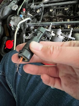 Bits of wiring from it 😳