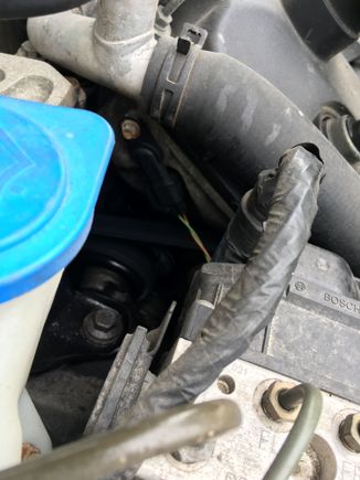 Can you make out the Frey on the belt here?