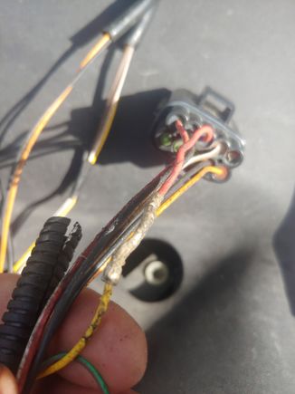 entire male end of connector showing the previous splice at the yellow/power/now red that runs to pin 2 at DCCV