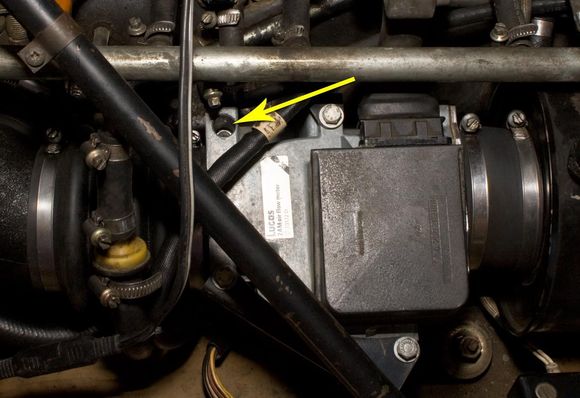 MAF sensor on 84 XK engine (Federal) -- is this the warm idle adjustment screw?