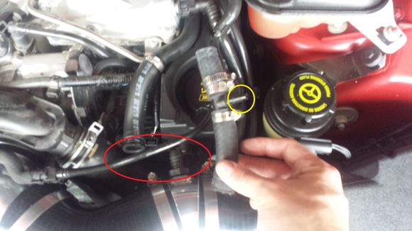 First, the hose connections are located in different positions (red oval) and the bleeder hose is no longer there (yellow oval)
