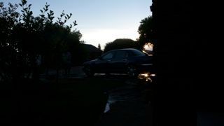 xjr7 - My cat enjoying sundowners in hot South Africa!